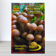 Міцелій гриба Опеньок Зимовий, 10г